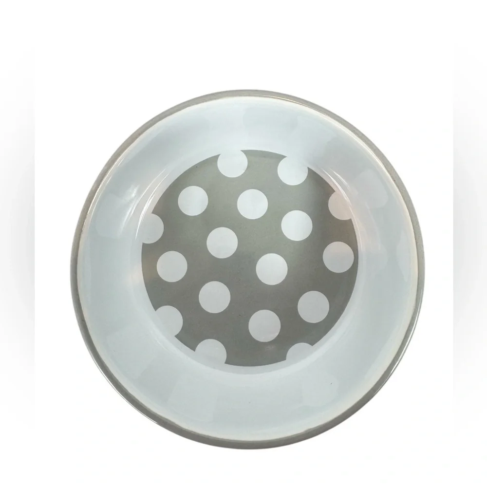 Cat Food Bowl - no chips!